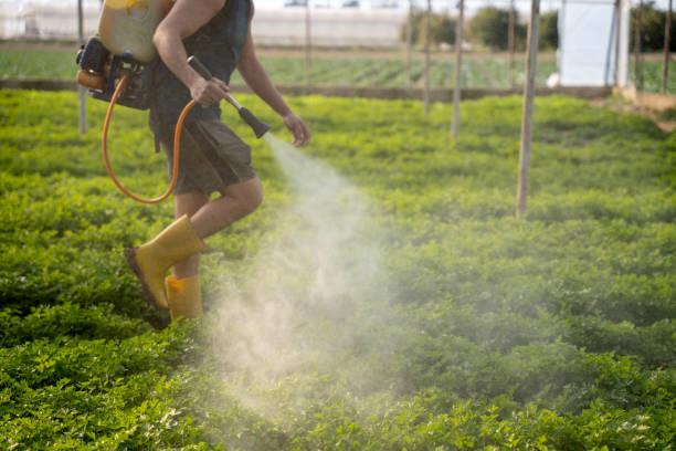 Best Pest Control Treatment  in Seaville, NJ
