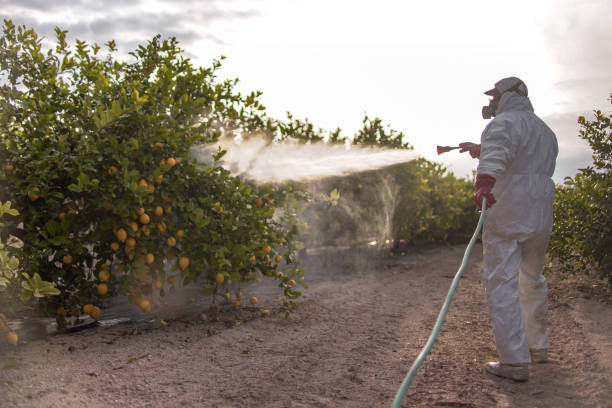 Best Pest Control Cost  in Seaville, NJ