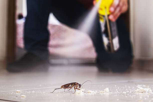 Best Pest Prevention Services  in Seaville, NJ
