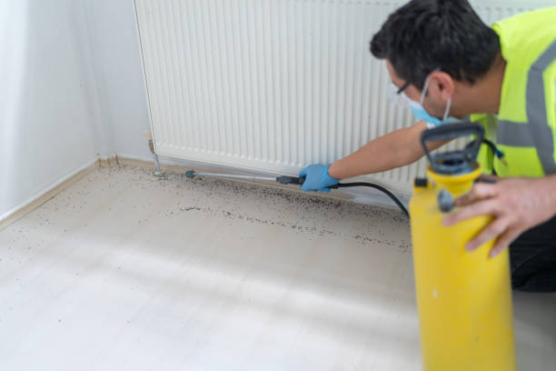 Best Affordable Pest Control Services  in Seaville, NJ
